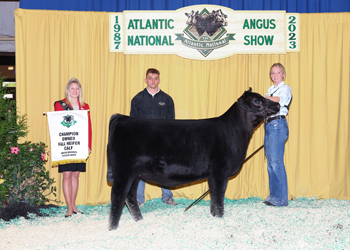 Owned Fall Heifer Calf Champion