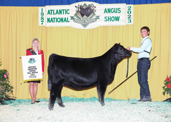 Owned Reserve Fall Heifer Calf Champion