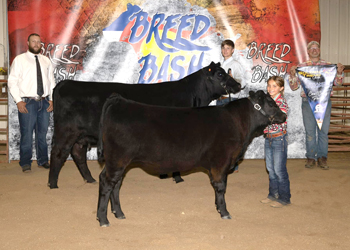 Grand Champion Cow-calf Pair