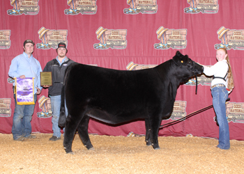 Grand Champion Owned Female