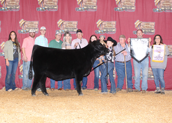 Reserve Grand Champion Owned Female