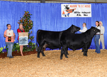 Grand Champion Cow-calf Pair