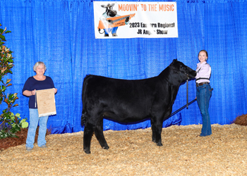 Bred-and-owned Reserve Intermediate Champion Heifer