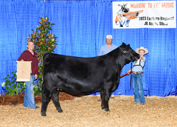 Bred-and-owned Reserve Senior Champion Female
