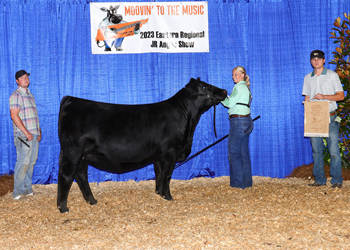Owned Early Junior Champion Heifer