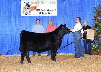 Owned Reserve Intermediate Champion Heifer