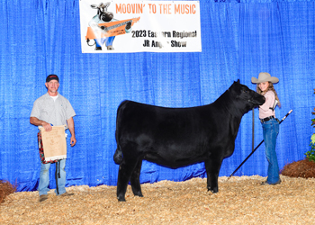 Bred-and-owned Intermediate Champion Heifer