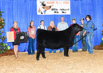 Bred-and-owned Reserve Junior Champion Heifer