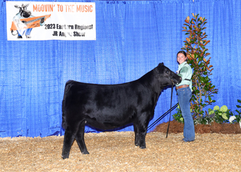Owned Reserve Early Heifer Calf Champion