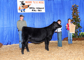 Owned Reserve Late Heifer Calf Champion