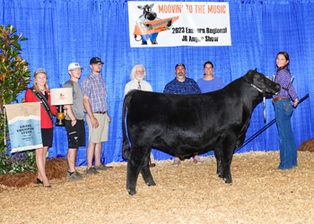 Grand Champion Steer