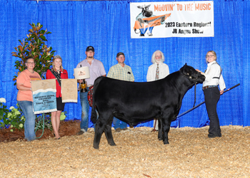 Reserve Grand Champion Bred-and-owned Bull