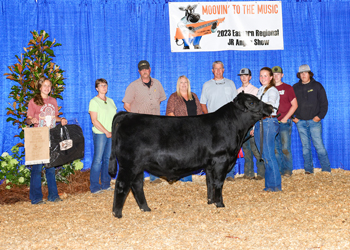 Bred-and-owned Reserve Senior Bull Calf Champion