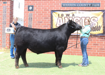 Reserve Grand Champion Bred-and-owned Steer