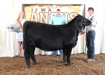 Bred-and-owned Intermediate Champion Heifer