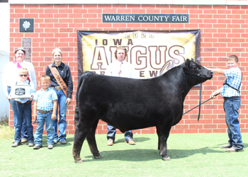 Reserve Grand Champion Steer