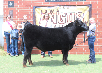 Grand Champion Steer