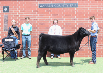 Reserve Grand Champion Owned Female