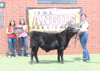 Bred-and-owned Reserve Senior Bull Calf Champion