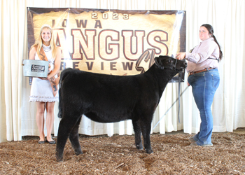 Bred-and-owned Reserve Senior Heifer Calf Champion