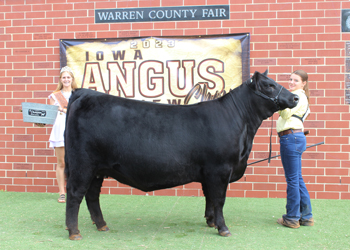 Senior Champion Female