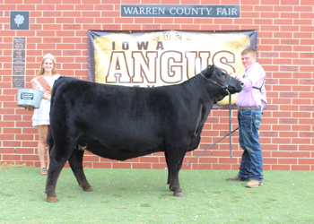 Reserve Senior Champion Female