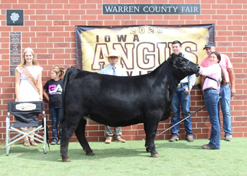 Grand Champion Female