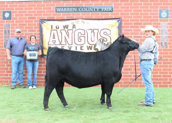 Reserve Intermediate Champion Heifer