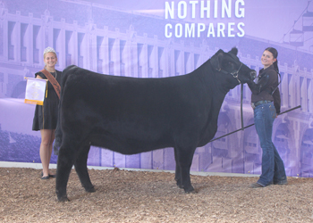 Reserve Junior Champion Heifer