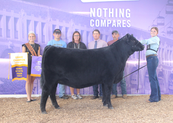 Grand Champion Female