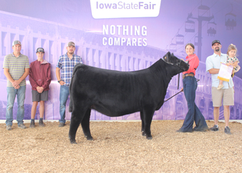 Reserve Intermediate Champion Heifer