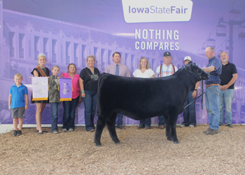 Reserve Grand Champion Female