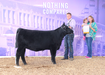 Reserve Senior Heifer Calf Champion