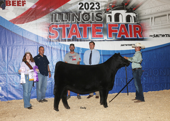 Reserve Junior Champion Heifer