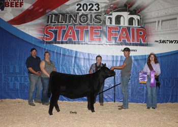 Junior Heifer Calf Champion