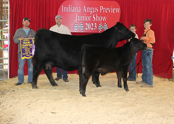 Reserve Grand Champion Cow-calf Pair