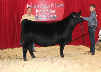 Bred-and-owned Early Junior Champion Heifer