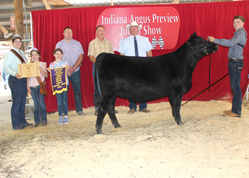 Reserve Grand Champion Owned Female