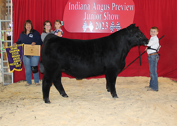 Grand Champion Steer