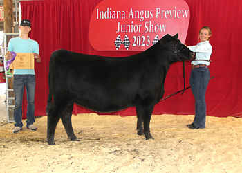 Owned Early Junior Champion Heifer