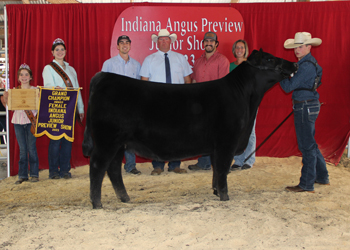 Grand Champion Owned Female