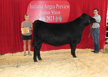 Bred-and-owned Reserve Early Junior Champion Heifer