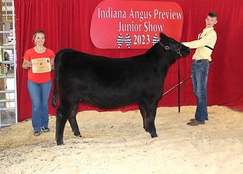 Bred-and-owned Reserve Intermediate Champion Heifer