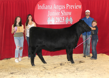 Owned Reserve Intermediate Champion Heifer