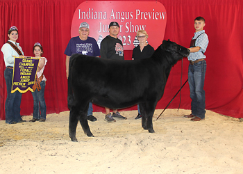 Grand Champion Bred-and-owned Female