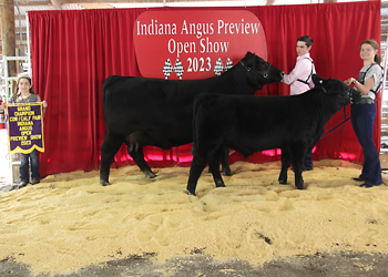 Grand Champion Cow-calf Pair