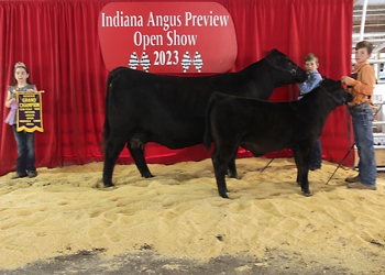 Reserve Grand Champion Cow-calf Pair