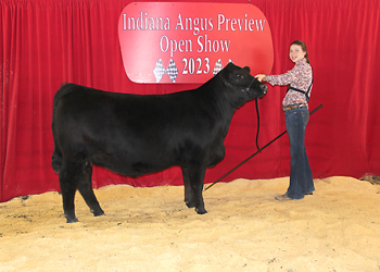 Reserve Senior Champion Female