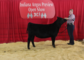 Junior Heifer Calf Champion