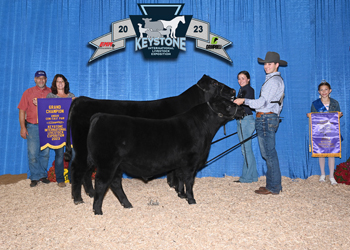 Grand Champion Cow-calf Pair